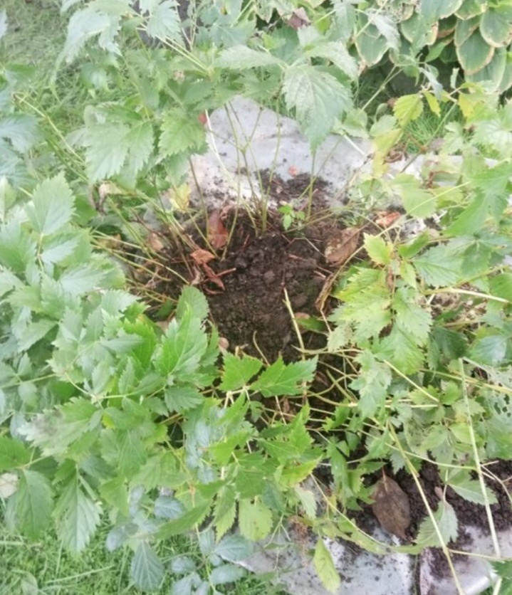 Середина пустая 