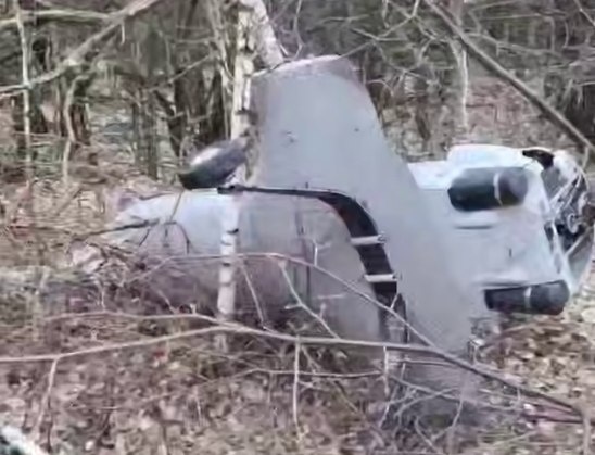 Фото: отряда «Барс-Курск»