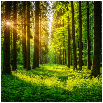 Сгенерировано ИИ- здоровый, большой ЛЕС.