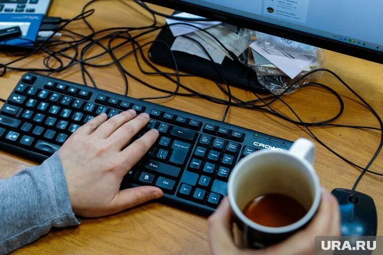 Пожилых челябинцев охотно берут на работу (архивное фото). Фото: Вадим Ахметов © URA.RU