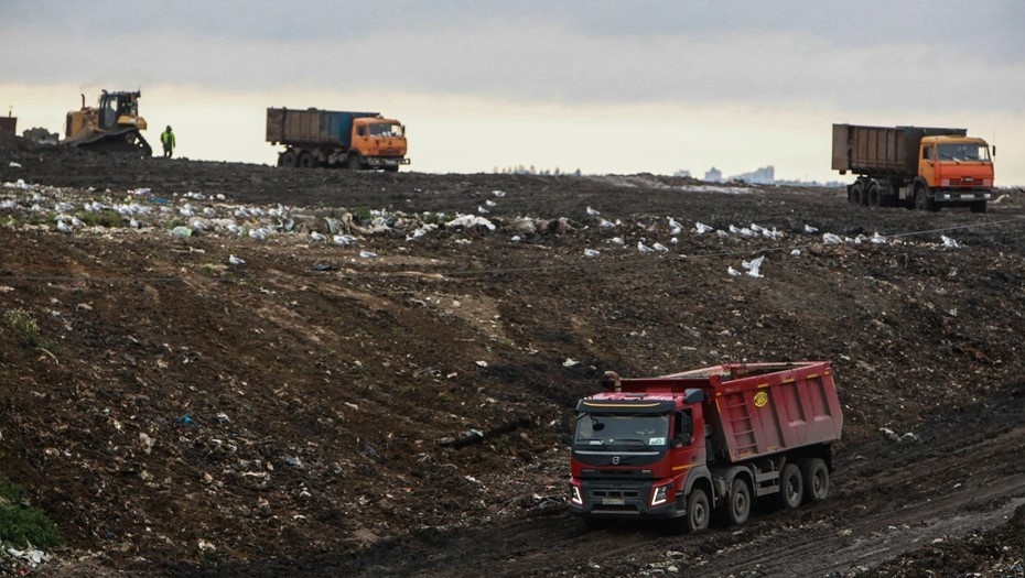    Автор фото: Сергей Коньков/ДП