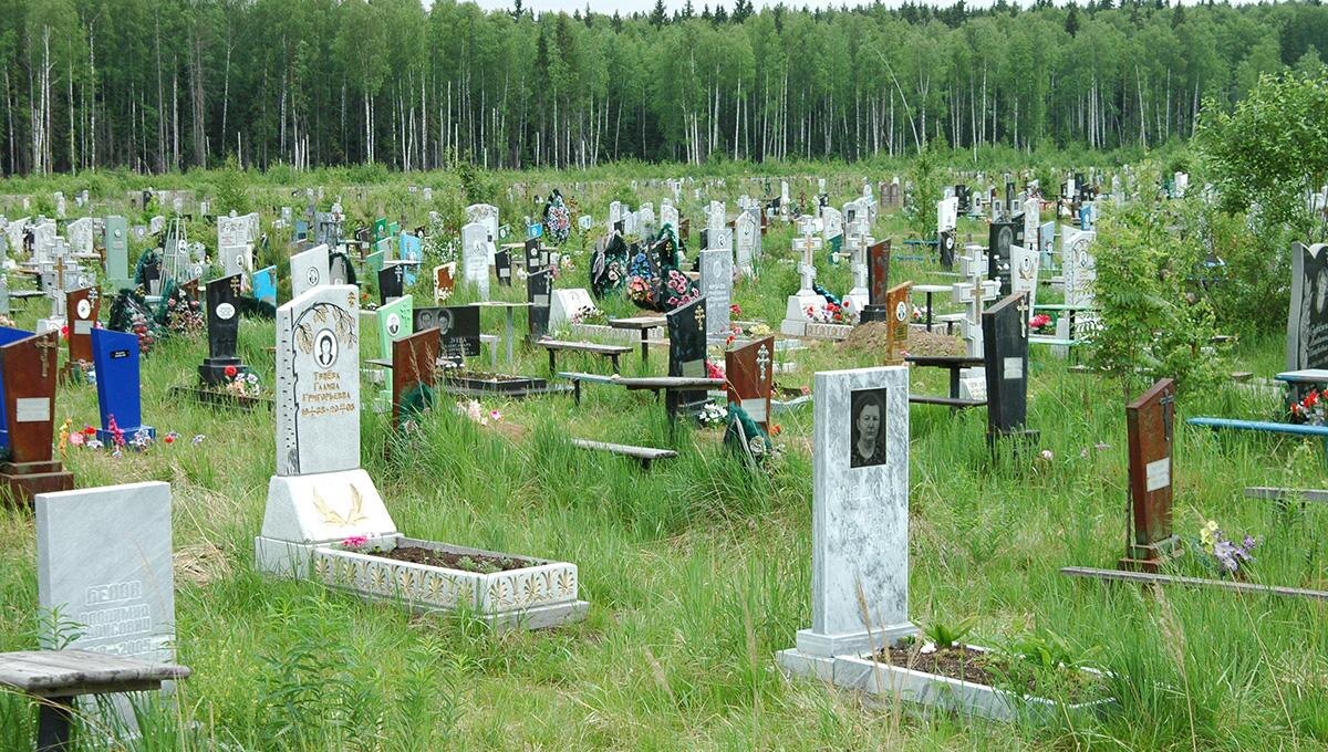    © Константин Долгановский
