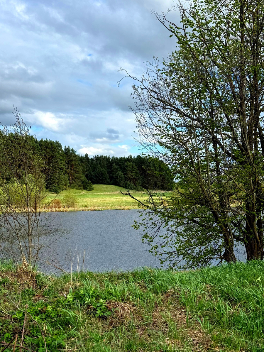 Сходили на речку, замерзли. Похолодало 