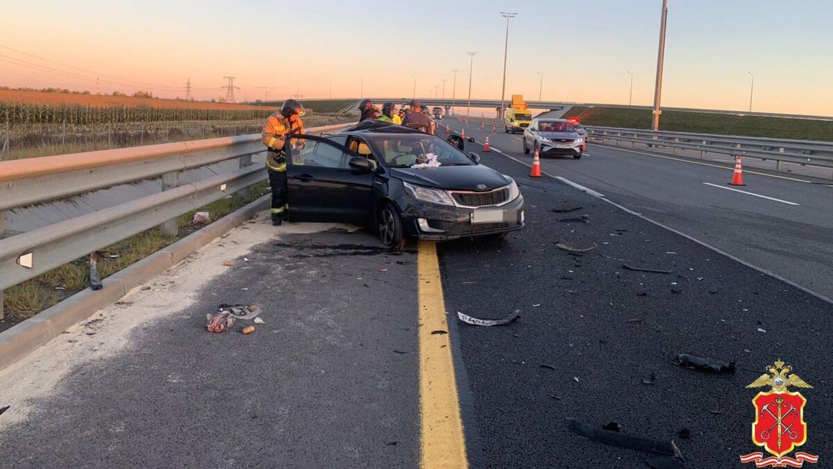    Фото: t.me/spb_police78