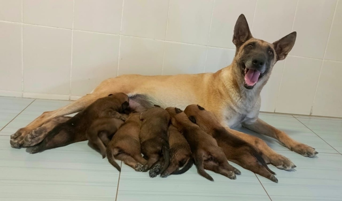 Фото: пресс-служба ГУФСИН России по Свердловской области  📷
