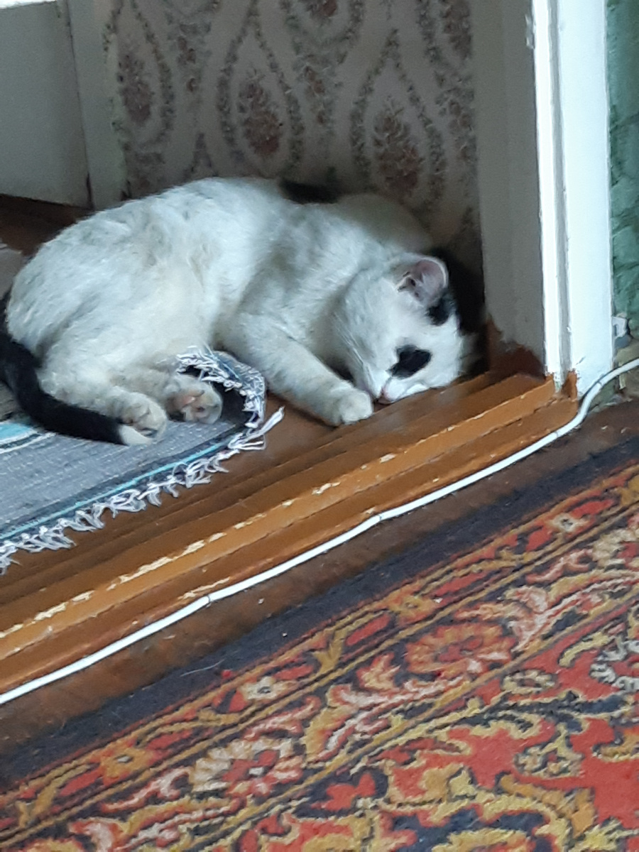 Ох, уж эти мне рыбаки..