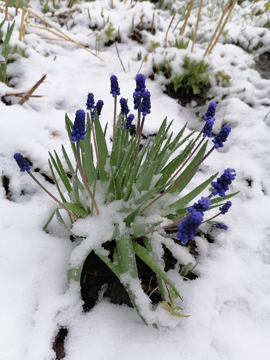 Снежное 2 мая