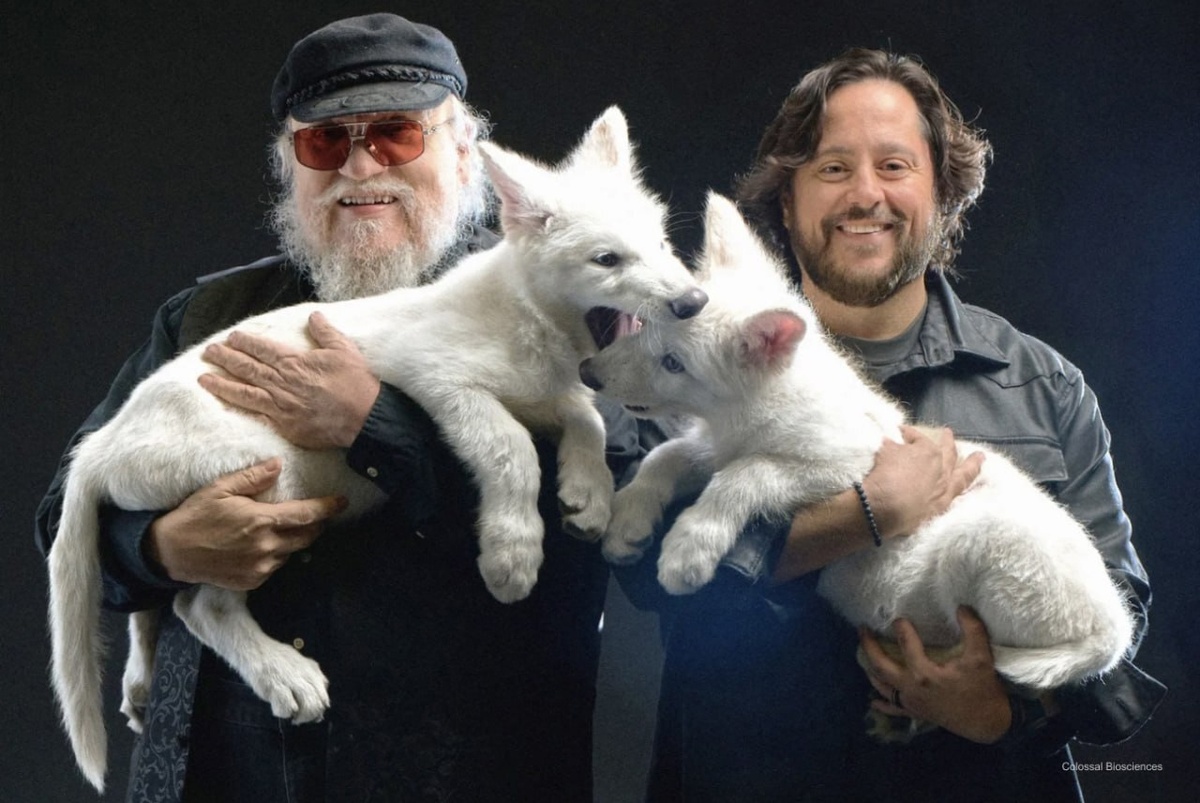 На фото писатель Джордж Мартин (слева) держит на руках одного из воссозданных «лютоволков»⁠⁠.