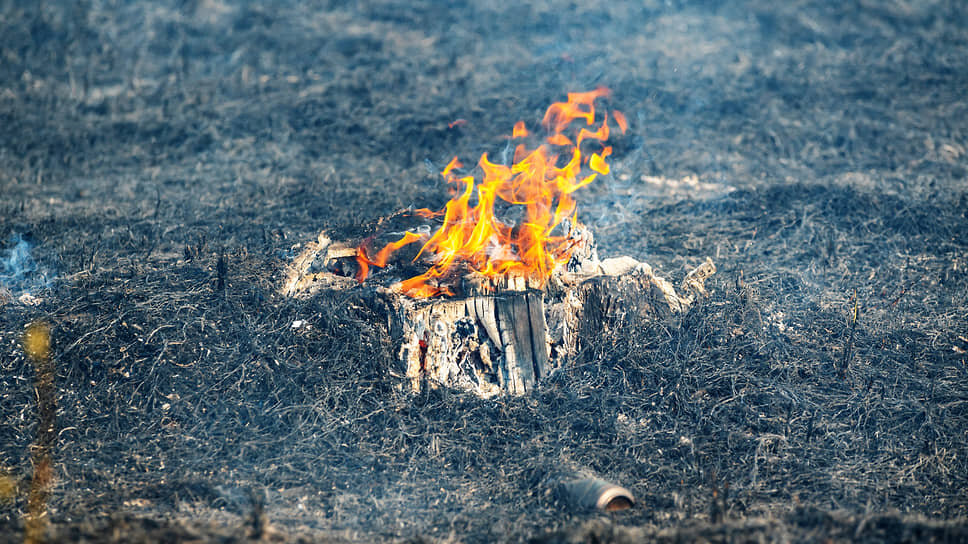 Фото: Олег Харсеев / Коммерсантъ