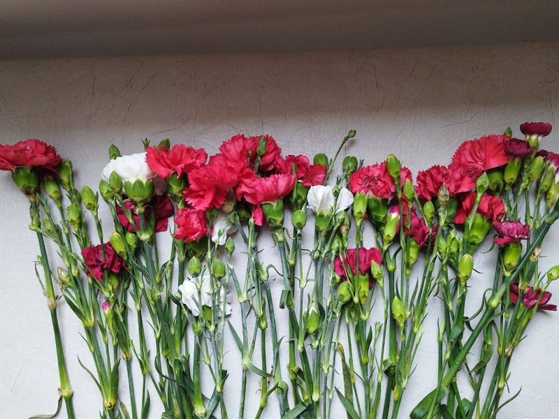    Фото: пресс-служба Южного межрегионального управления Россельхознадзора