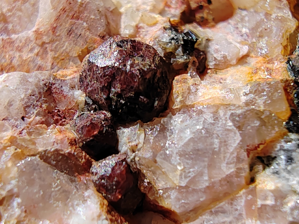 Фотографии любезно предоставил нам Павел Б. из Белоруссии. Гранат-альмандин в граните. Фотографии из группы Камнеискатель ВК