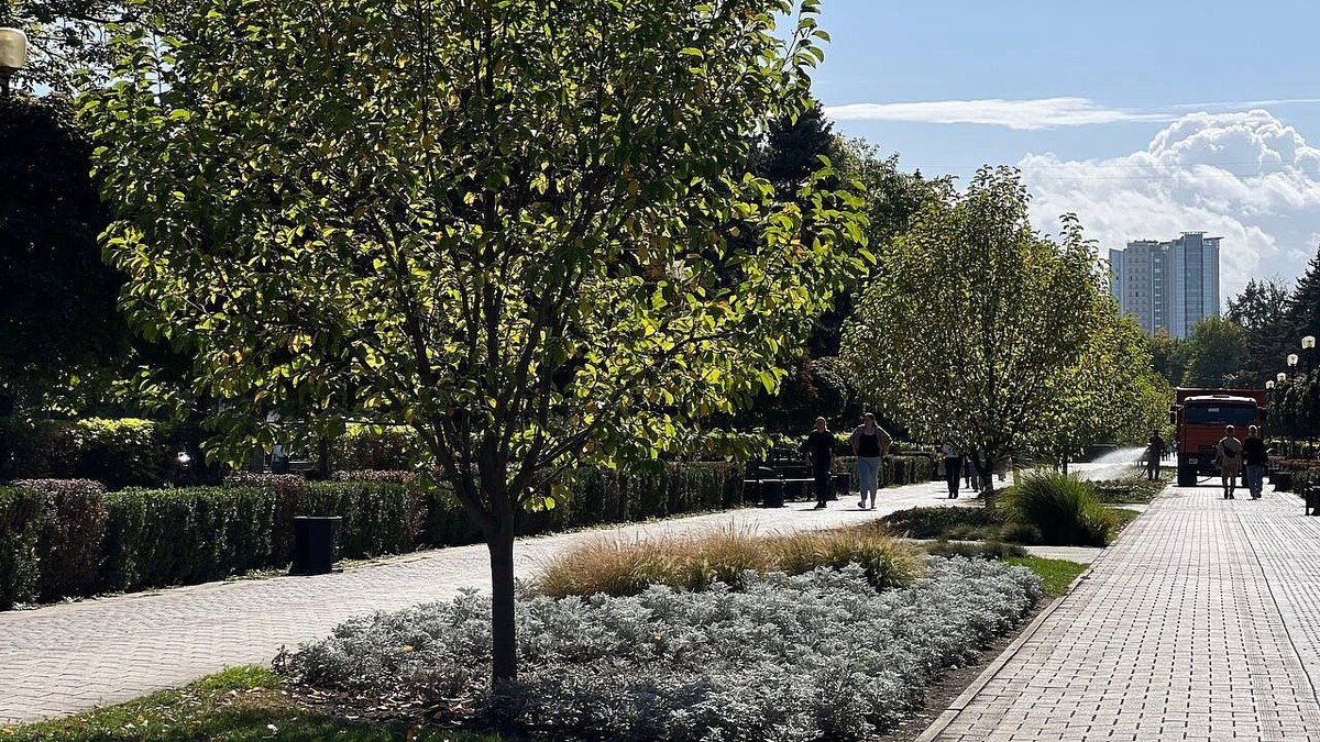    Фото: телеканал «Краснодар»