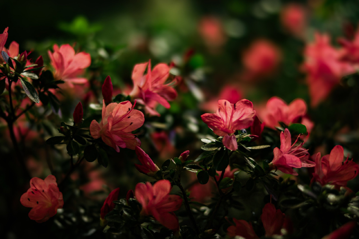 Фото: Яра Кедрина