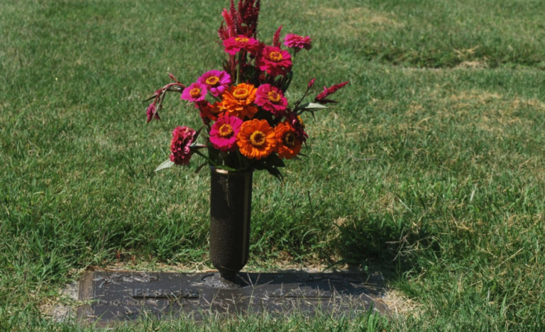    Фото: pxhere.com Андрей Краснов