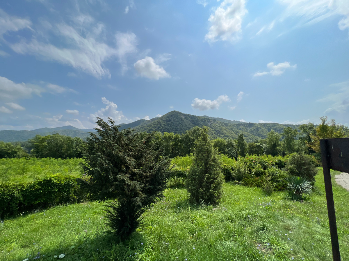 Вот такие красивые виды