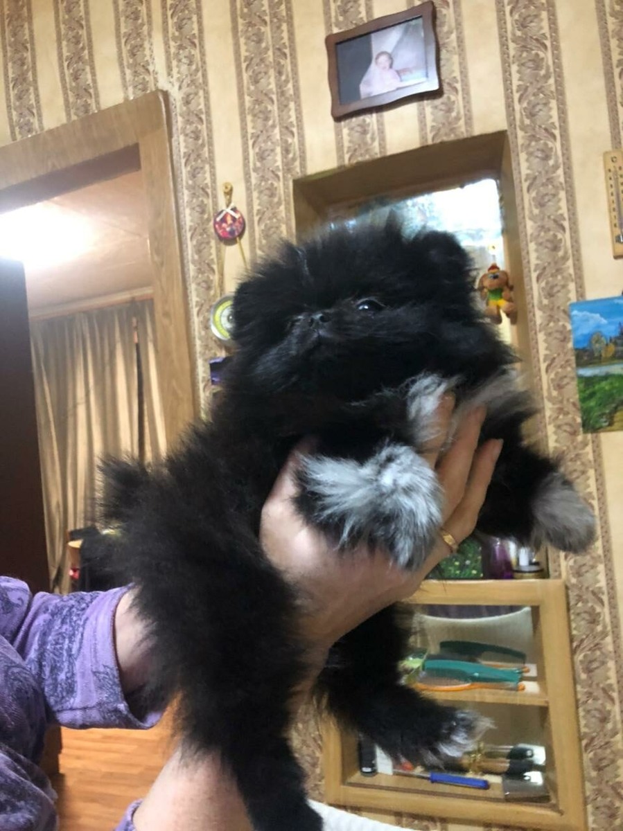 Уже отмытое чудо .