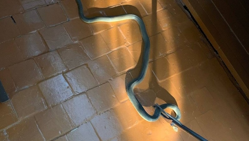      Фото: ПАСС СК