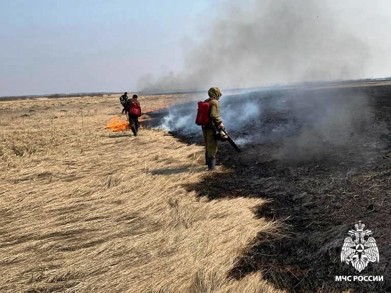 Фото ГУ МЧС РФ по Новосибирской области.

