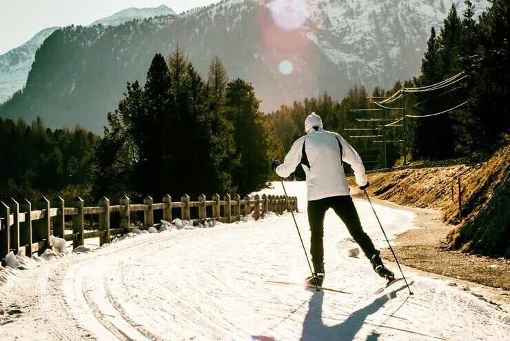 Фото из Яндекса