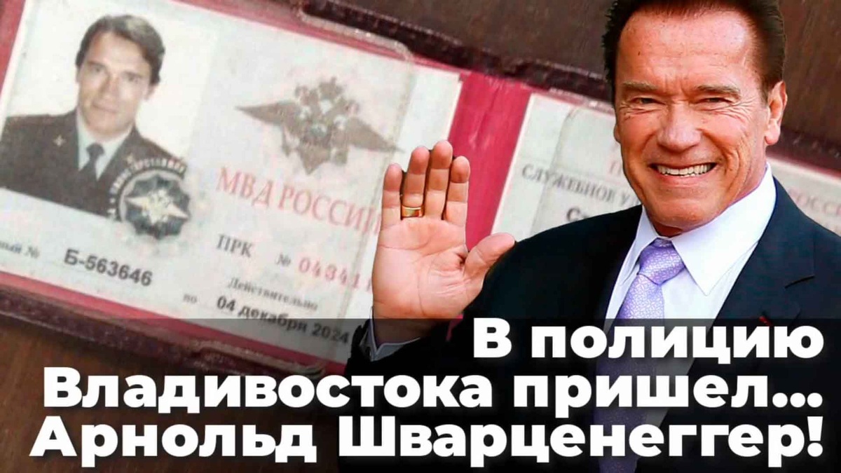 Автор: https://avatars.dzeninfra.ru/get-zen_doc/9709210/pub_646b46ccc9ade01f076a3e2e_646b46d34781403558366a09/orig