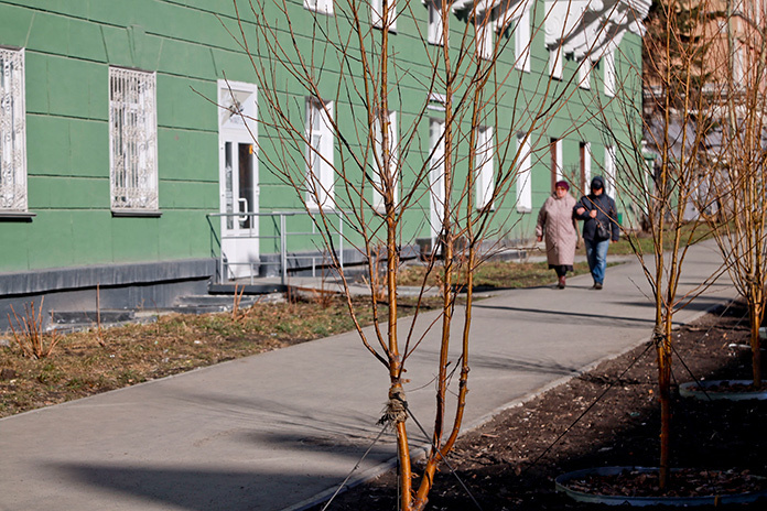 В основу нового проекта озеленения улицы был положен «принцип создания визуально привлекательной среды с оптимальным микроклиматическим эффектом». Фото предоставлено пресс-центром мэрии города Новосибирска