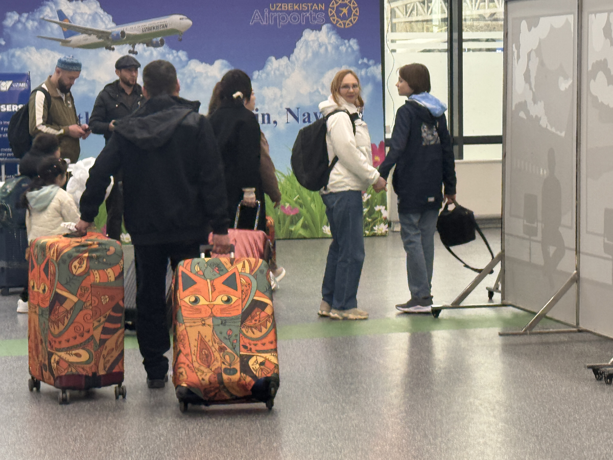 Кошечки и котики прилетели в Узбекистан. Фото автора.