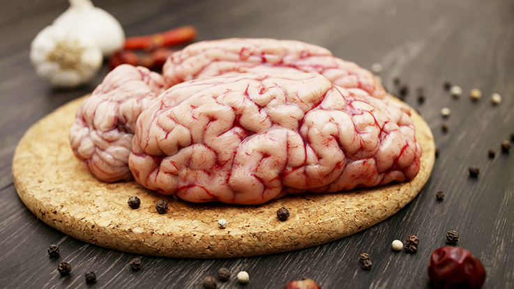 Свиной мозг