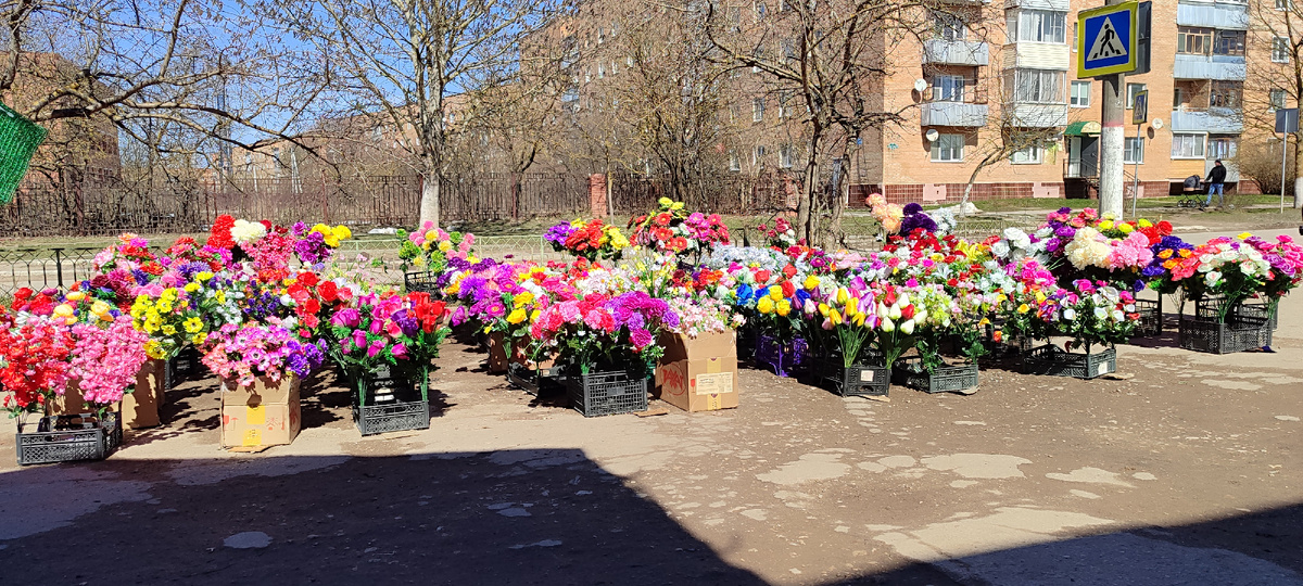 Понедельничная витрина