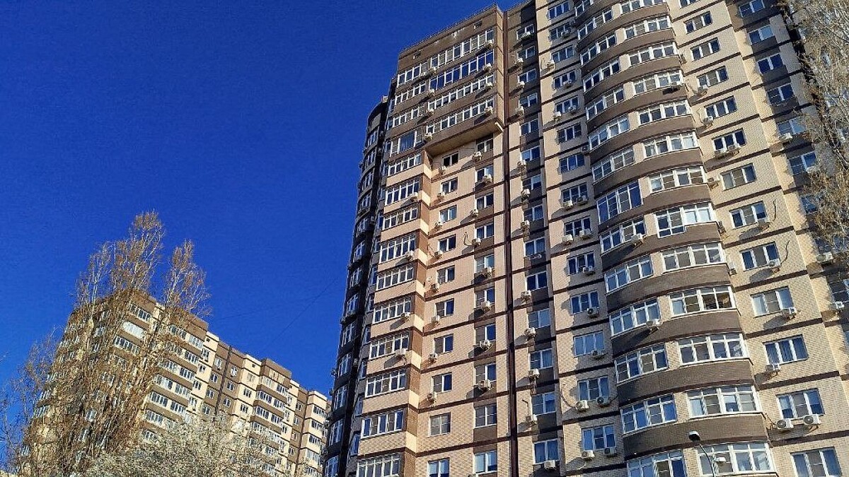    Фото: телеканал «Краснодар»