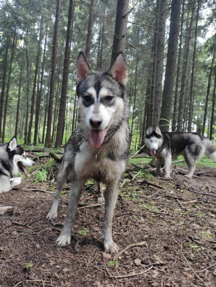 Она реально была почти лысой!