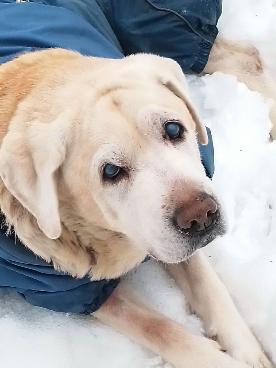 Здесь Рэмочке 13 лет