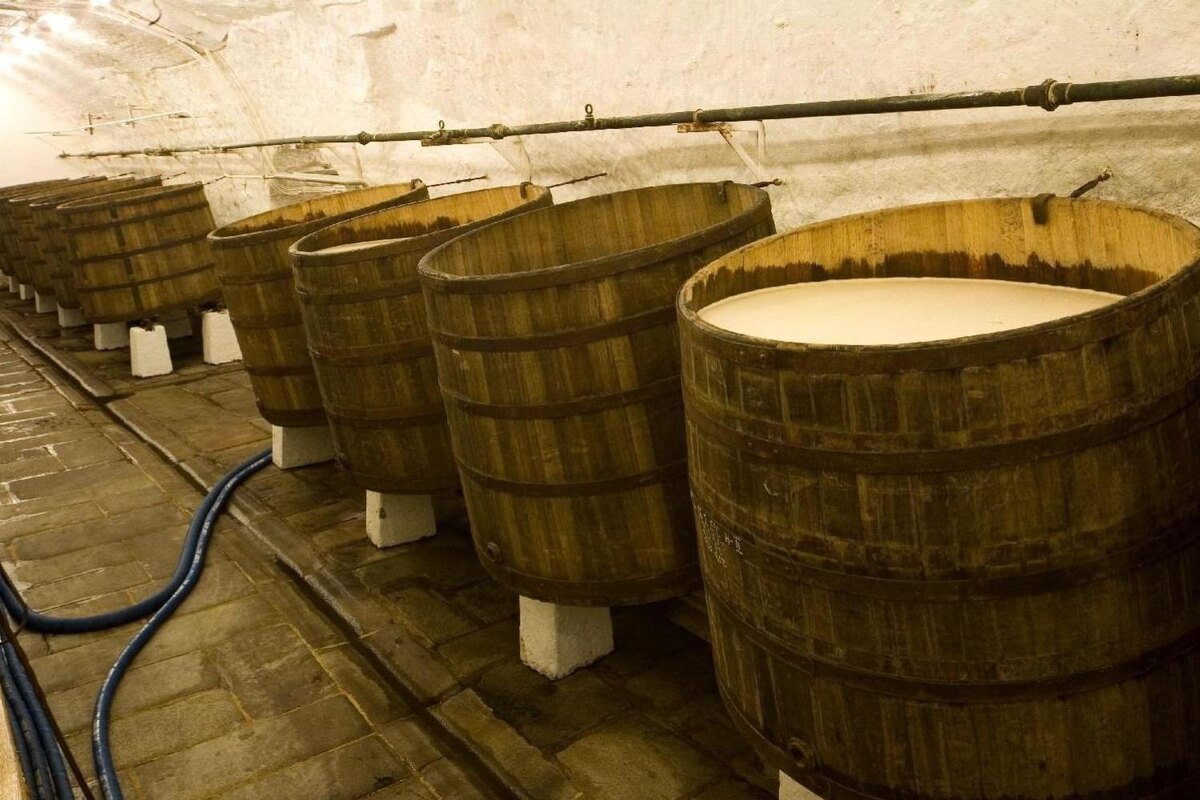 Лагерный подвал пивоварни 