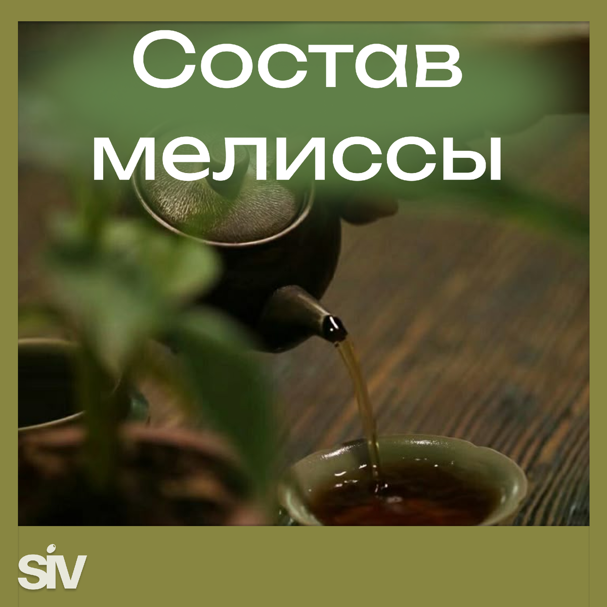 Ирина Селиванова - нутрициолог