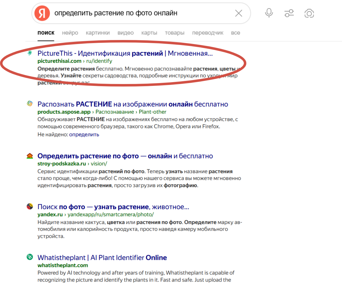 Как определить растение онлайн
