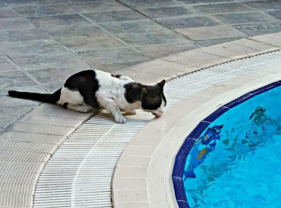 Фото Тамары