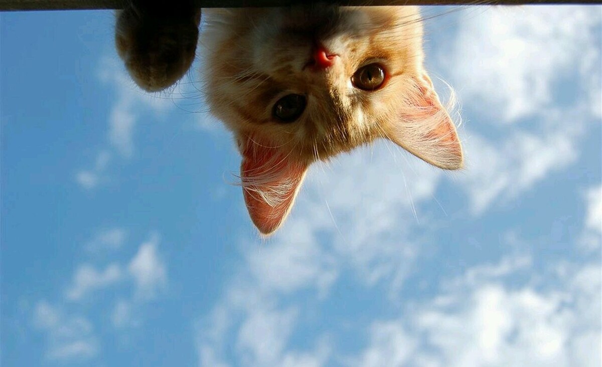 #Астропрогноз на 14-16 апреля 2025. Ключевые аспекты дня