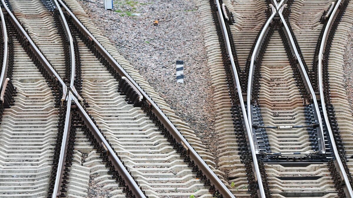    Фото: Belkin Alexey/globallookpress.com