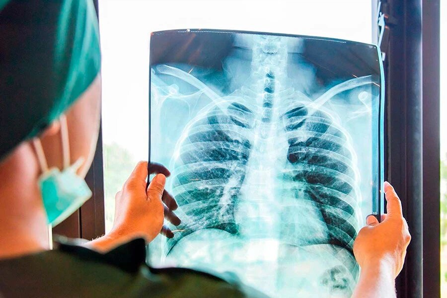    Фото: SUPAWADEE3625 / Shutterstock.com