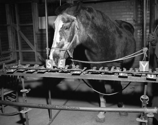 Леди у специального устройства.