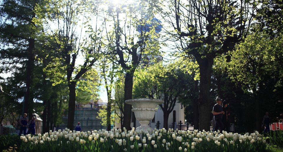     Медиасток.рф