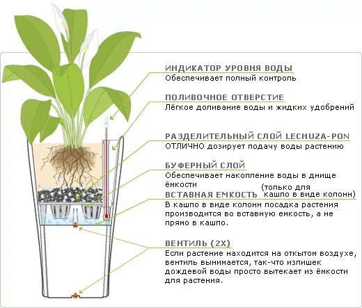Вода хранится внизу, не контактируя напрямую с корнями.