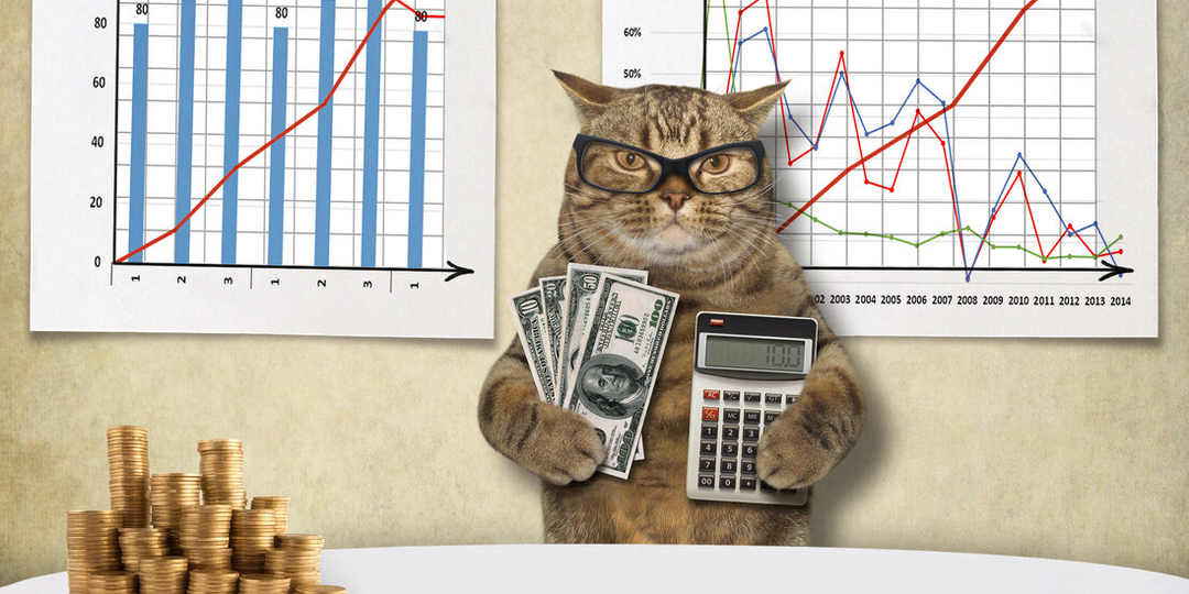 Будущий миллионер и Редиска. Трейдерам посвящается…