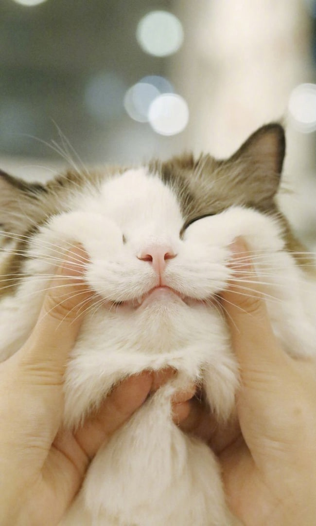 Референсы к урокам