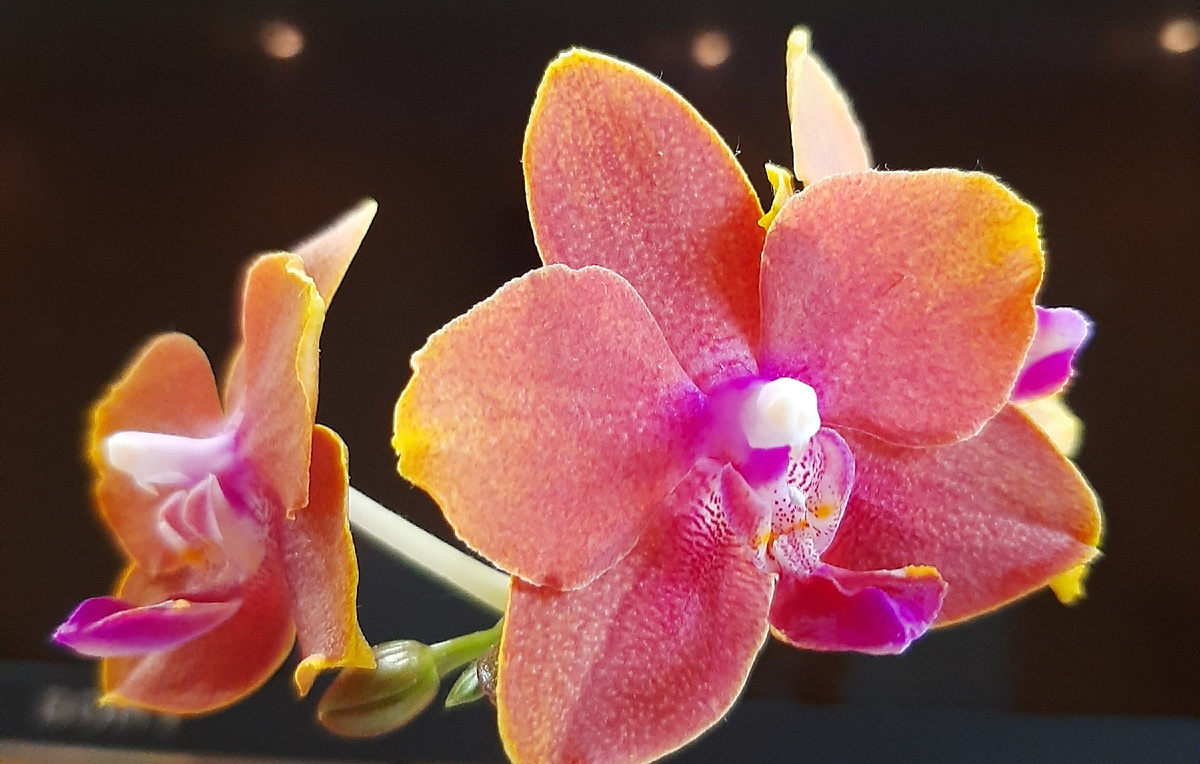 Обложка статьи. Архивное фото