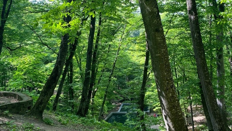      Фото: ИА «Победа26»