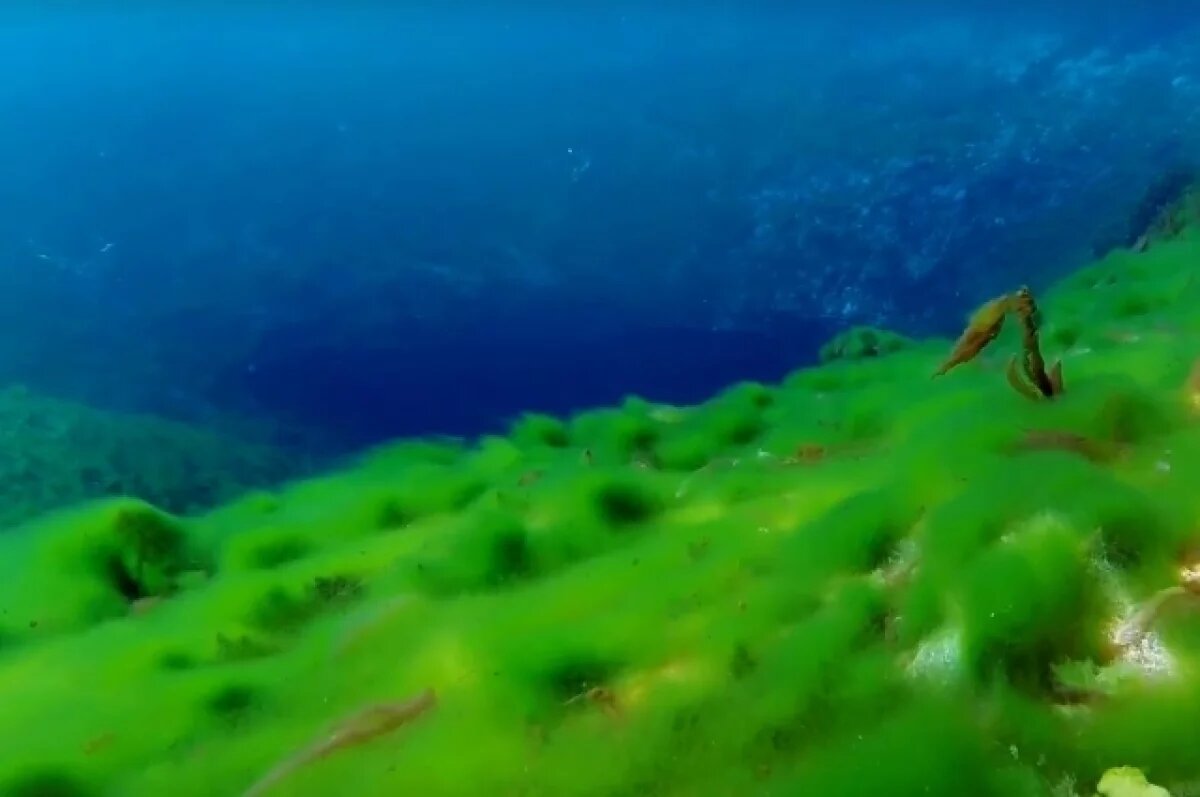    Подводный мир Вадского озера показали нижегородцам