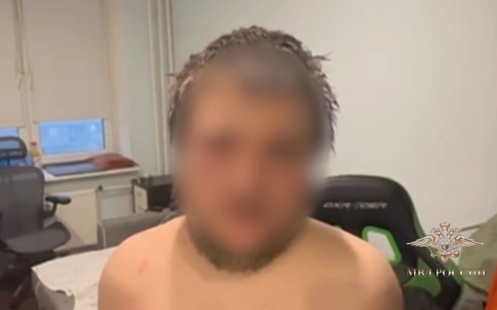    Фото: Пресс-служба ГУ МВД России по Петербургу и Ленобласти/ Скриншот видео