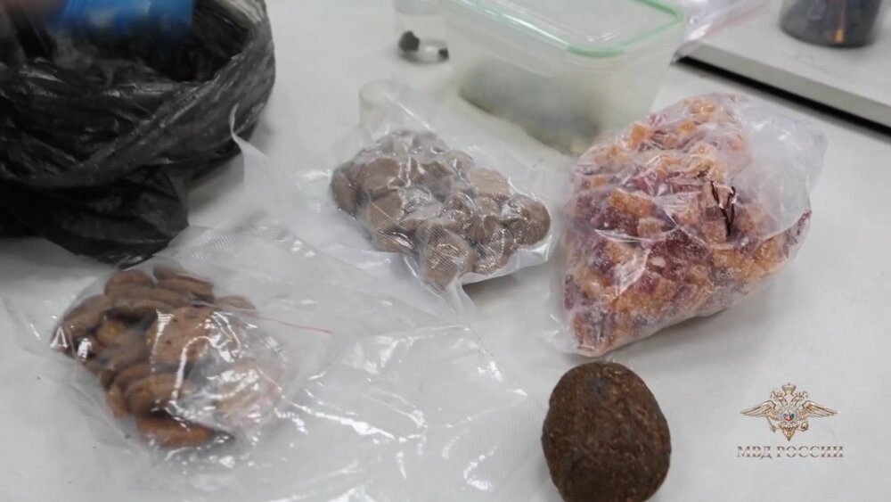    Фото: Пресс-служба ГУ МВД России по Петербургу и Ленобласти/ Скриншот видео