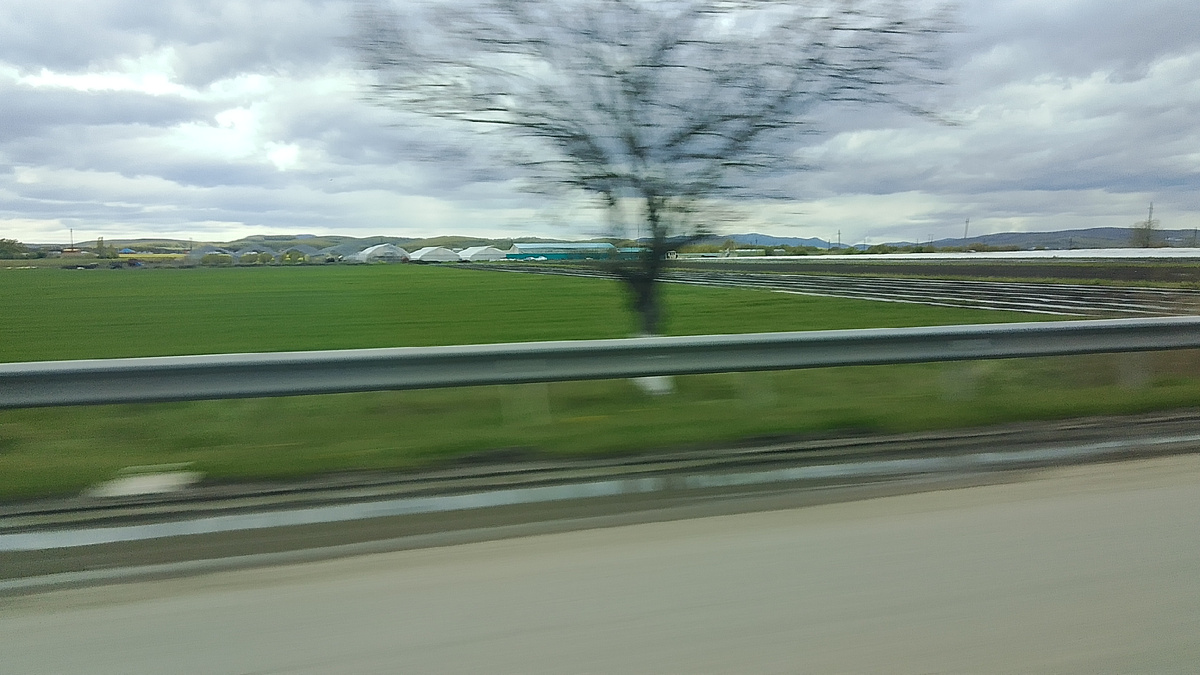 Фото личное. 