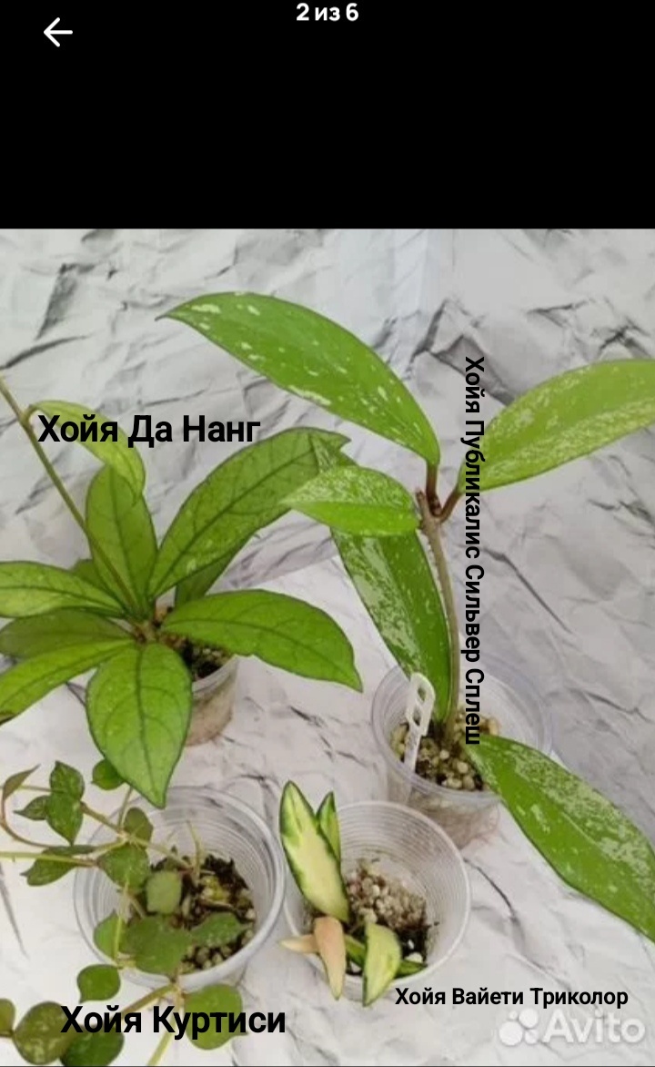 Вот такой шикарный набор всего лишь за 1000 рублей